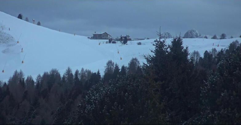 Webcam Bellamonte-Alpe Lusia - Pista Dolomitica
