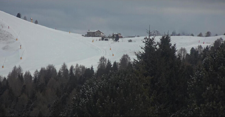 Webcam Bellamonte-Alpe Lusia - Pista Dolomitica