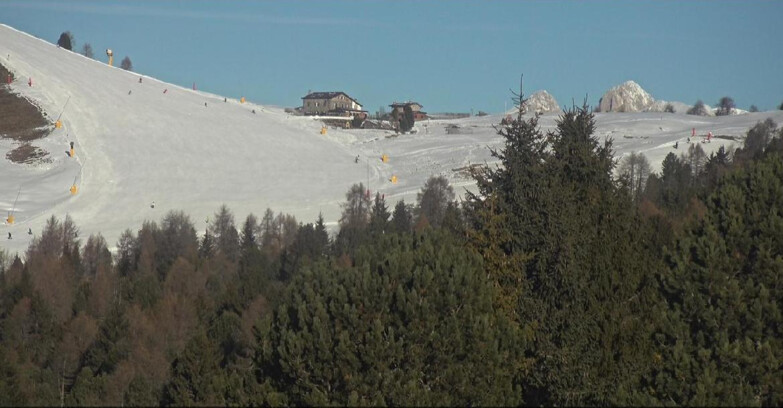 Webcam Bellamonte-Alpe Lusia  - Pista Dolomitica