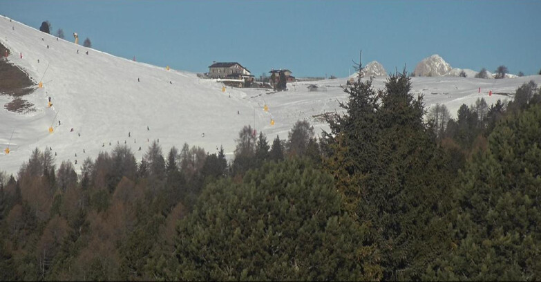 Webcam Bellamonte-Alpe Lusia  - Pista Dolomitica