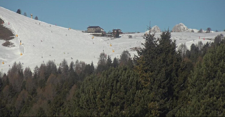 Webcam Bellamonte-Alpe Lusia  - Pista Dolomitica