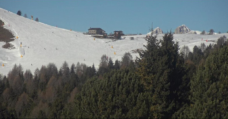 Webcam Bellamonte-Alpe Lusia  - Pista Dolomitica
