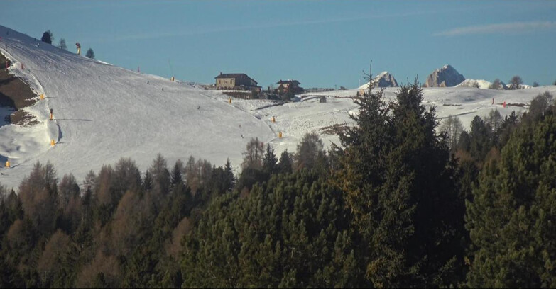 Webcam Bellamonte-Alpe Lusia  - Pista Dolomitica