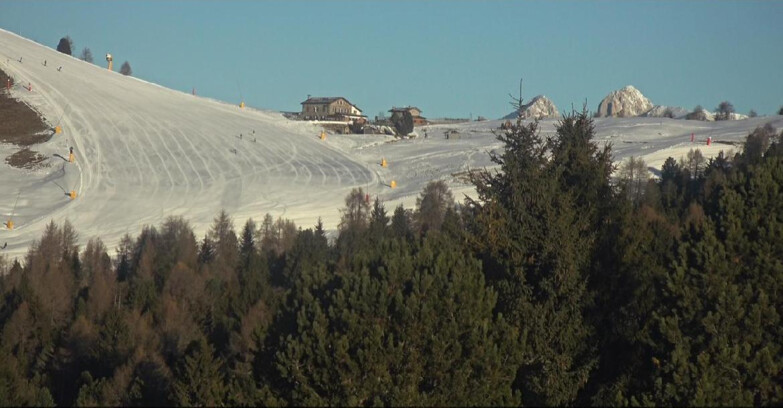 Webcam Bellamonte-Alpe Lusia  - Pista Dolomitica