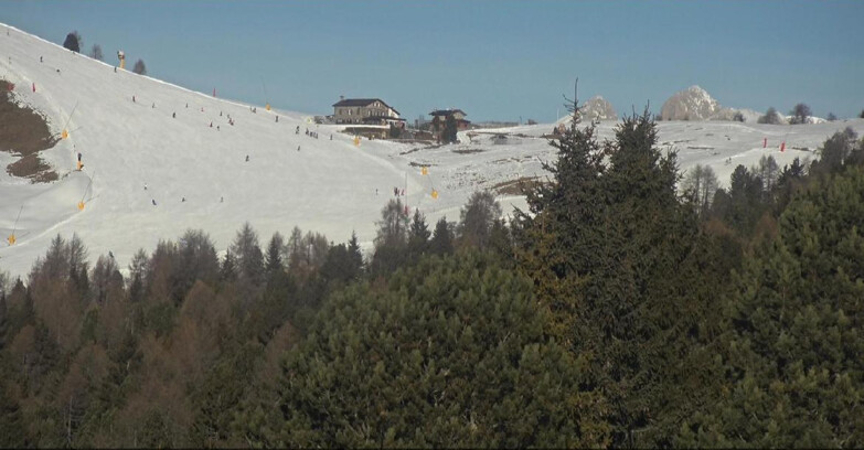 Webcam Bellamonte-Alpe Lusia  - Pista Dolomitica