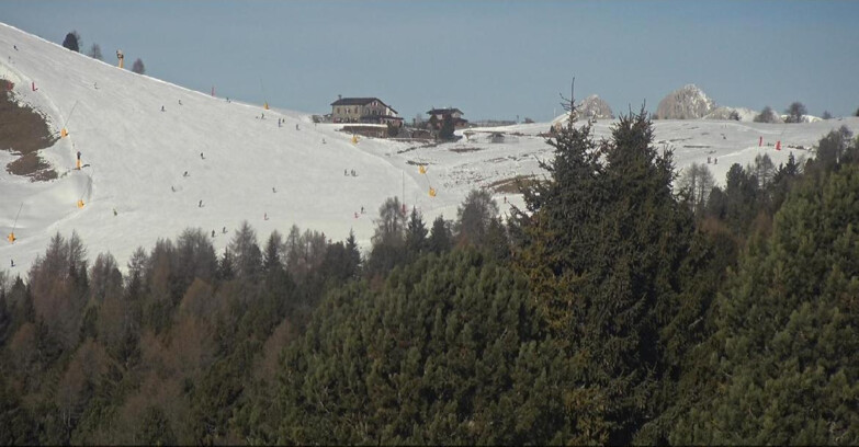 Webcam Bellamonte-Alpe Lusia  - Pista Dolomitica