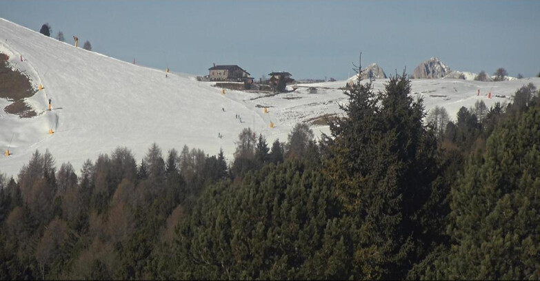 Webcam Bellamonte-Alpe Lusia  - Pista Dolomitica
