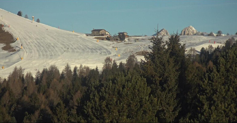 Webcam Bellamonte-Alpe Lusia  - Pista Dolomitica
