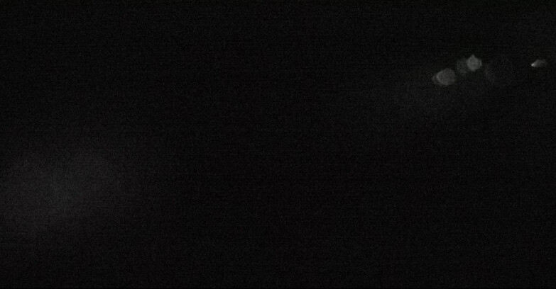 Webcam San Martino di Castrozza - Passo Rolle - Pale di San Martino