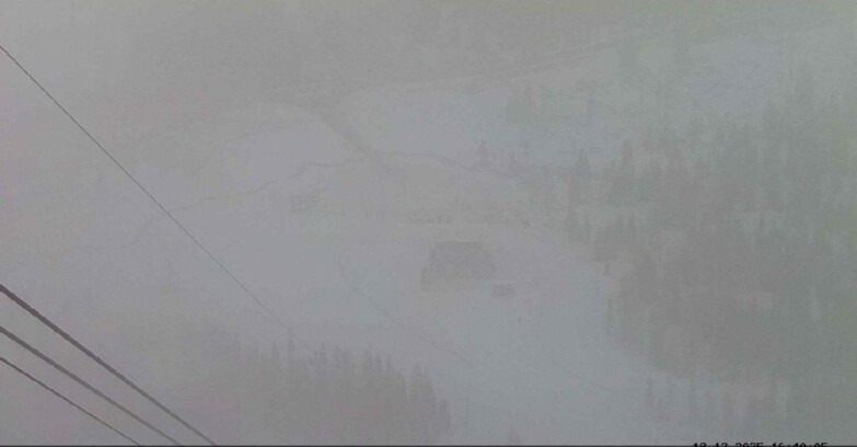 Webcam Passo San Pellegrino-Falcade - Panorama N-E