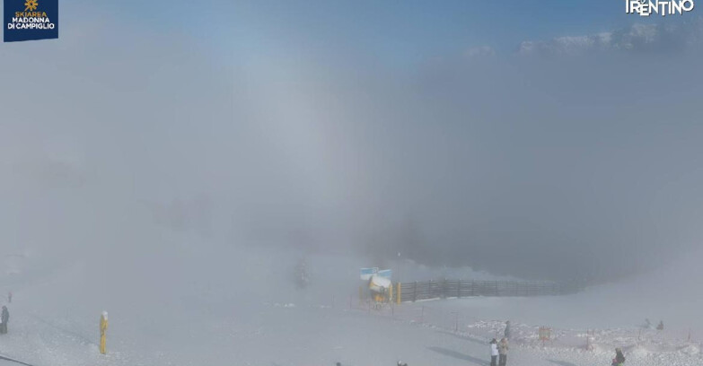 Webcam Madonna di Campiglio - Campiglio Rifugio Viviani 