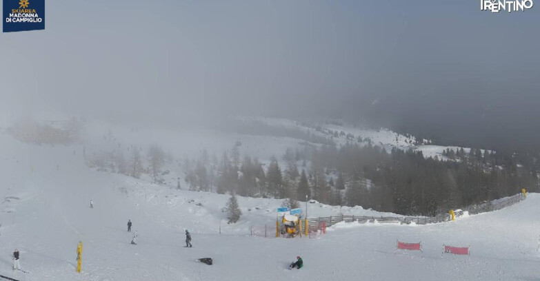 Webcam Madonna di Campiglio - Rifugio Viviani