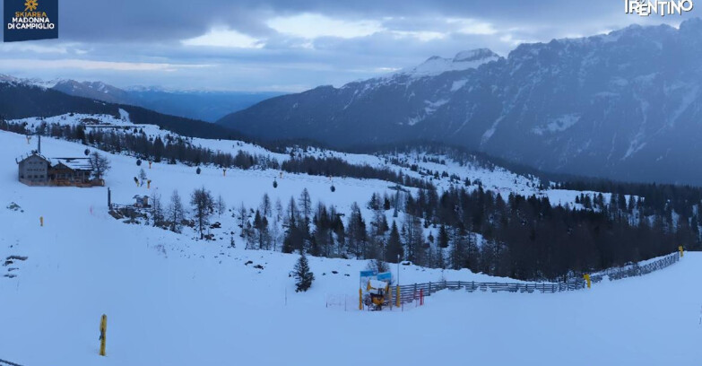 Webcam Madonna di Campiglio - Rifugio Viviani