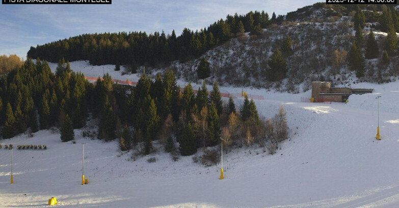 Webcam Monte Bondone - Bondone Diagonale Montesel