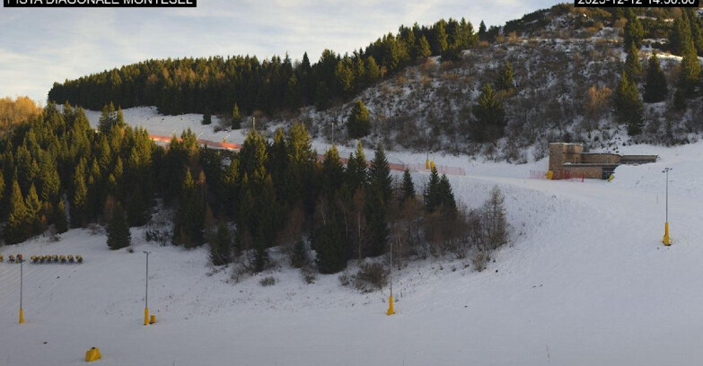 Webcam Monte Bondone - Bondone Diagonale Montesel