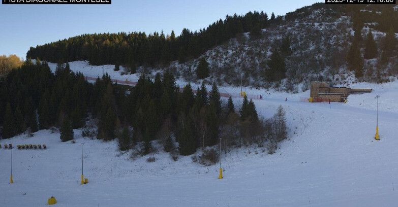 Webcam Monte Bondone - Bondone Diagonale Montesel