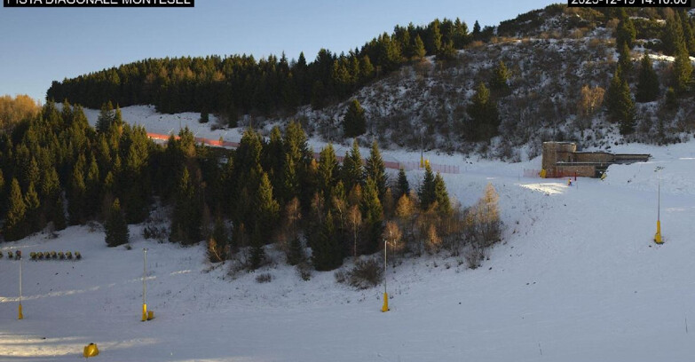 Webcam Monte Bondone - Bondone Diagonale Montesel