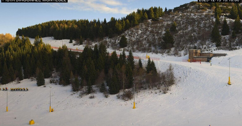 Webcam Monte Bondone - Bondone Diagonale Montesel