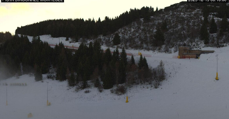 Webcam Monte Bondone - Bondone Diagonale Montesel
