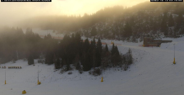 Webcam Monte Bondone - Bondone Diagonale Montesel
