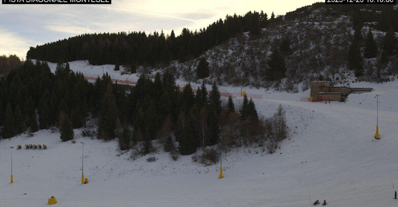 Webcam Monte Bondone - Bondone Diagonale Montesel