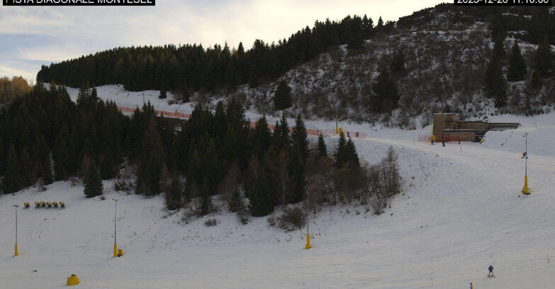Webcam Monte Bondone - Bondone Diagonale Montesel
