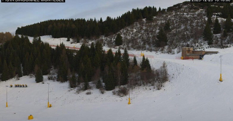 Webcam Monte Bondone - Bondone Diagonale Montesel