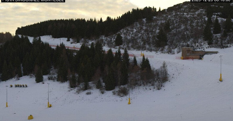 Webcam Monte Bondone - Bondone Diagonale Montesel