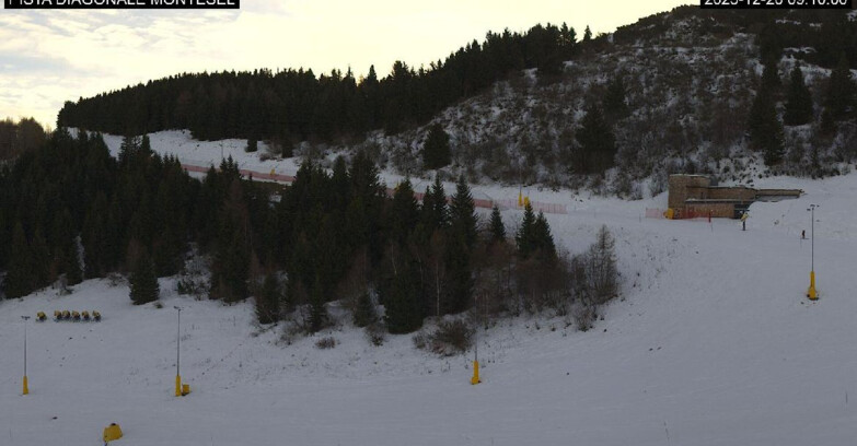 Webcam Monte Bondone - Bondone Diagonale Montesel
