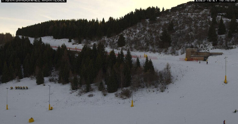 Webcam Monte Bondone - Bondone Diagonale Montesel