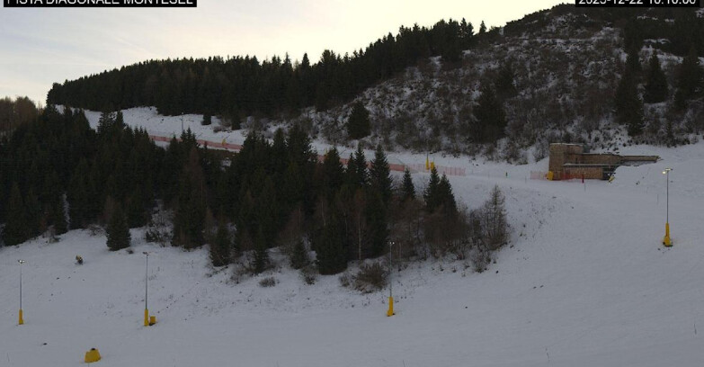 Webcam Monte Bondone - Bondone Diagonale Montesel
