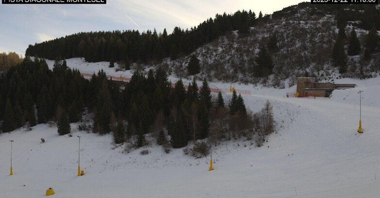 Webcam Monte Bondone - Bondone Diagonale Montesel