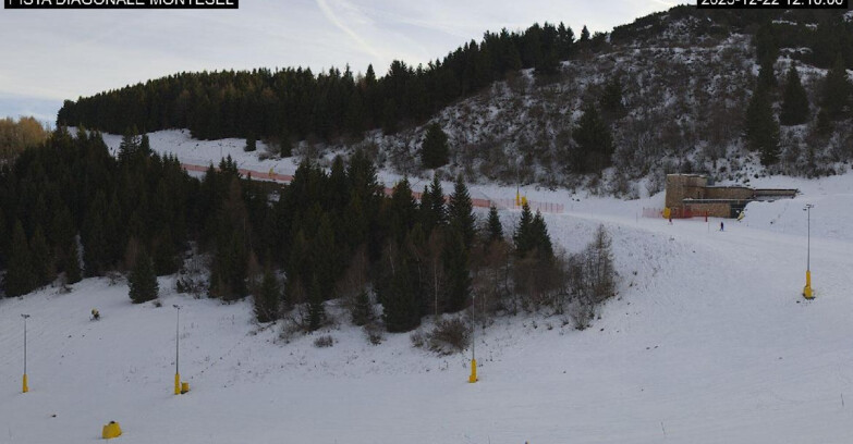 Webcam Monte Bondone - Bondone Diagonale Montesel