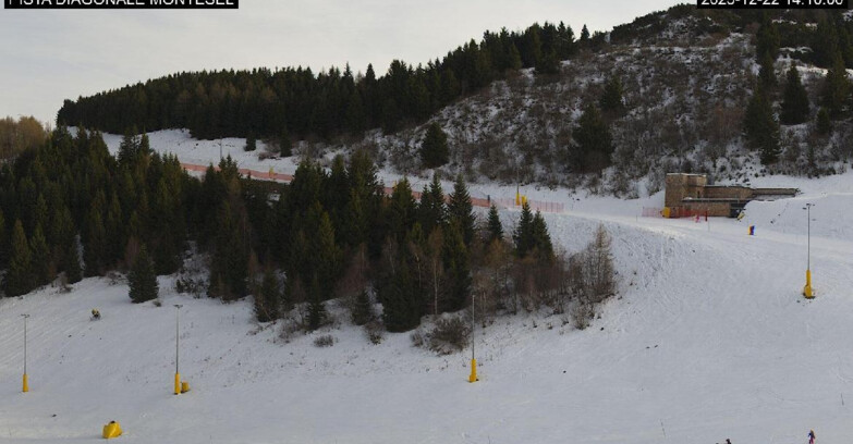 Webcam Monte Bondone - Bondone Diagonale Montesel