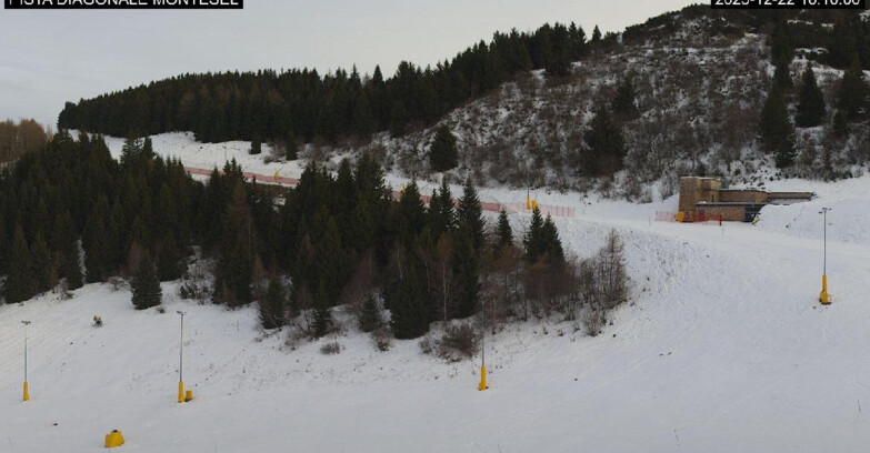 Webcam Monte Bondone - Bondone Diagonale Montesel