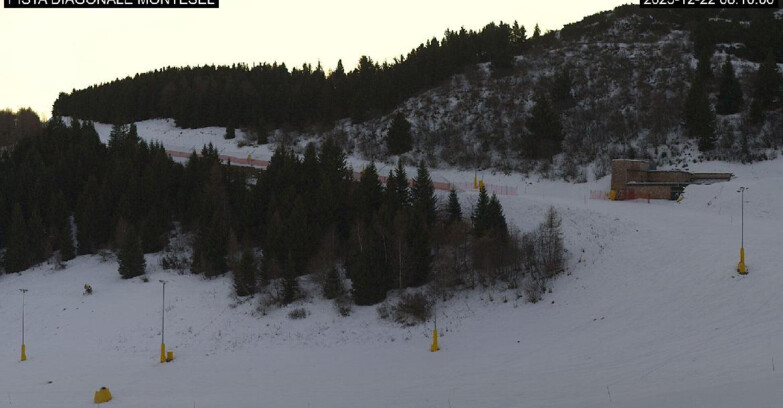 Webcam Monte Bondone - Bondone Diagonale Montesel