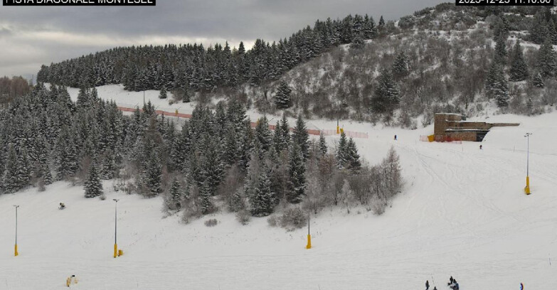 Webcam Monte Bondone - Bondone Diagonale Montesel