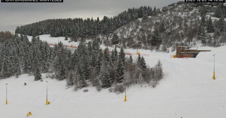 Webcam Monte Bondone - Bondone Diagonale Montesel