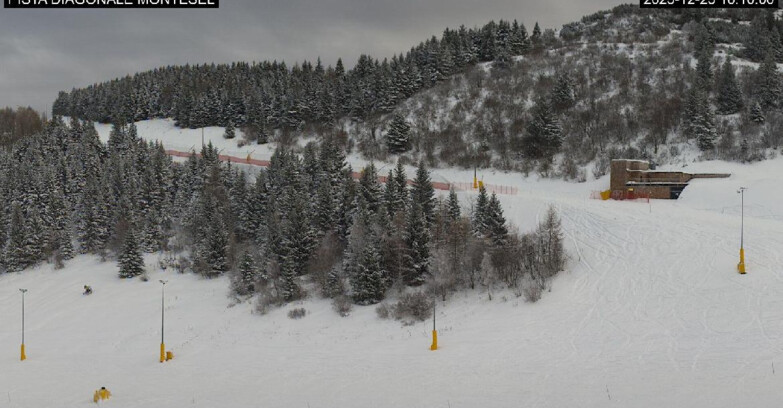 Webcam Monte Bondone - Bondone Diagonale Montesel
