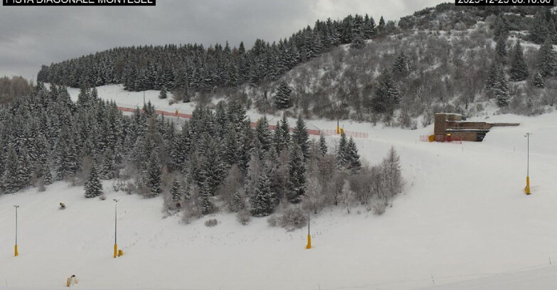 Webcam Monte Bondone - Bondone Diagonale Montesel