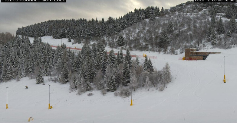 Webcam Monte Bondone - Bondone Diagonale Montesel