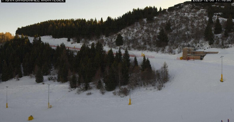 Webcam Monte Bondone - Bondone Diagonale Montesel