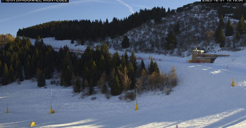 Webcam Monte Bondone - Bondone Diagonale Montesel