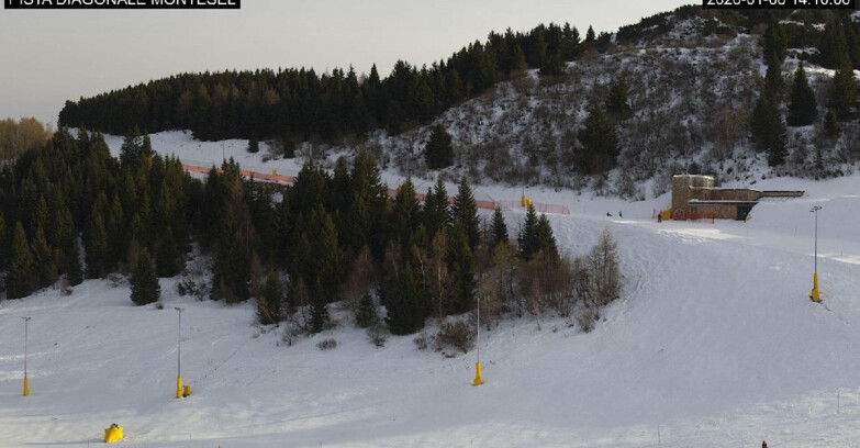 Webcam Monte Bondone - Bondone Diagonale Montesel
