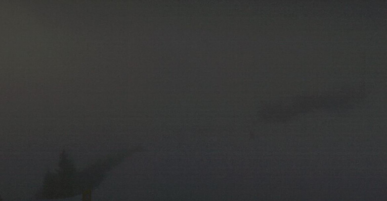 Webcam Folgarida-Marilleva  (Skiarea Campiglio Dolomiti di Brenta - Val di Sole Val Rendena) - Seggiovia Malghette 