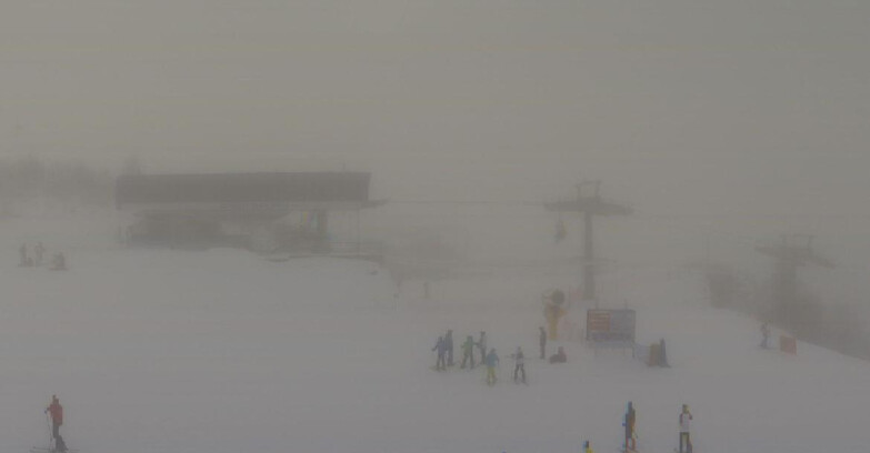 Webcam Ski area Campiglio Dolomiti di Brenta Val di Sole Val Rendena - Seggiovia Orso Bruno 