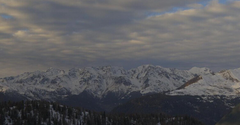 Webcam Ski area Campiglio Dolomiti di Brenta Val di Sole Val Rendena - Gruppo Ortles Cevedale 
