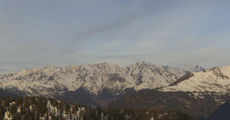 Webcam Skiarea Campiglio Dolomiti di Brenta Val di Sole Val Rendena - Gruppo Ortles Cevedale 