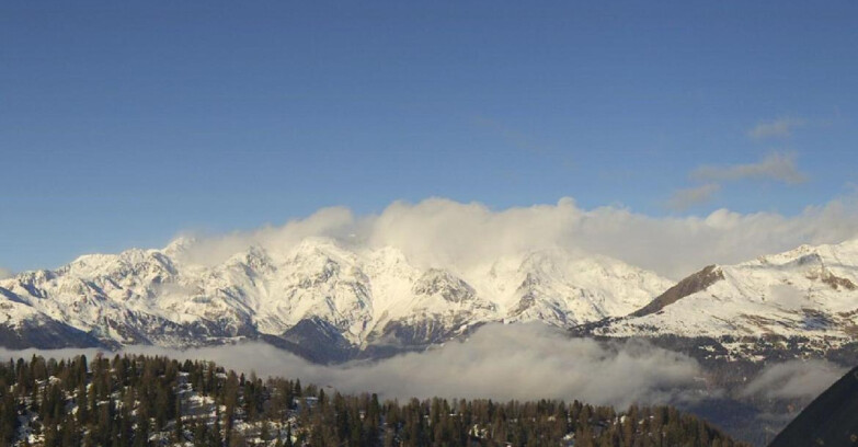 Webcam Skiarea Campiglio Dolomiti di Brenta Val di Sole Val Rendena - Gruppo Ortles Cevedale 