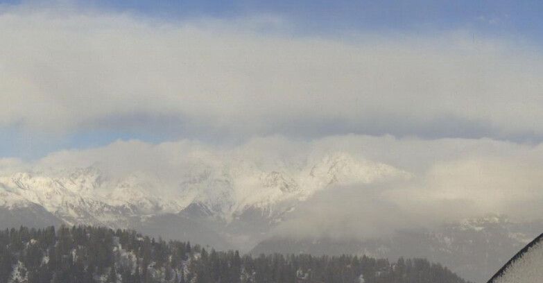 Webcam Skiarea Campiglio Dolomiti di Brenta Val di Sole Val Rendena - Gruppo Ortles Cevedale 